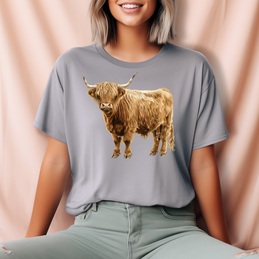 Highland Cow